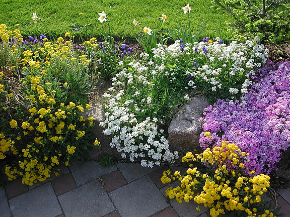 DSCN1010.JPG